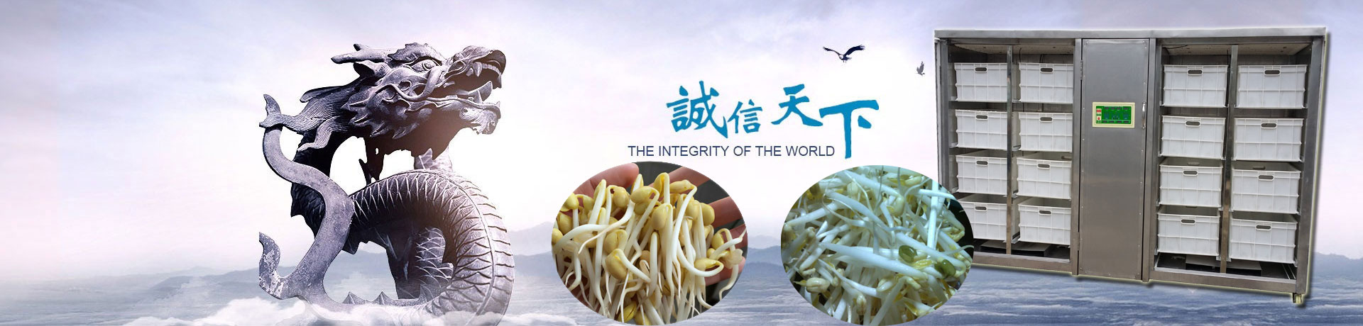 樹立品牌形象,規范行業標準,引領行業發展 - 關于我們 樹立品牌形象,規范行業標準,引領行業發展 - 關于我們